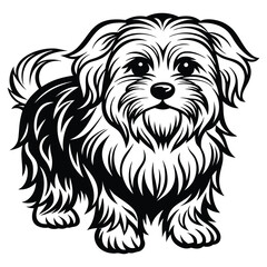 vector maltese