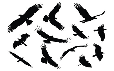 Obraz premium Silhouettes of various birds in flight against a white background, showcasing different wing positions and flight patterns. Perfect for nature, wildlife, and ornithology-themed projects.