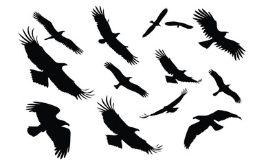 A dynamic silhouette illustration of various birds in flight, showcasing different wing positions and flight patterns against a white background. Perfect for nature, wildlife, and freedom themed projc
