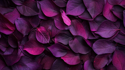 Naklejka premium Colorful purple leaves create a stunning natural pattern on the ground in a serene outdoor setting