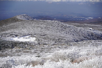한라산 영실 눈꽃 설산라산 영실 눈꽃 설산