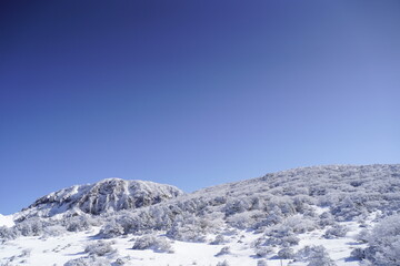 한라산 영실 어리목 눈꽃 설산 백록담