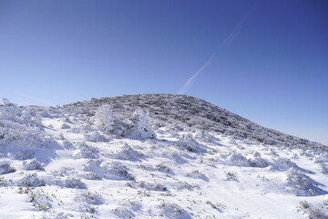 한라산 영실 코스 눈꽃 설산