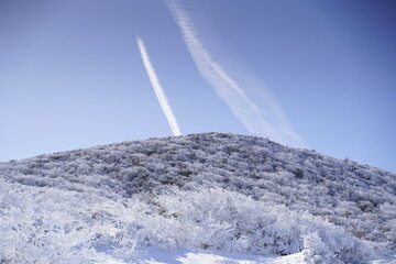 한라산 영실 어리목 눈꽃 설산