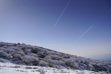 한라산 영실 어리목 눈꽃 설산