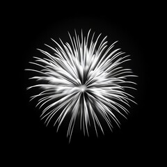 Fototapeta premium Vibrant fireworks bursting against a dark night sky, festive celebration