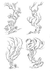 Hand drawn 4 beautiful miniature trees with white background
