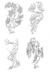 Hand drawn 4 beautiful miniature trees with white background
