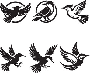 Obraz premium set of birds silhouettes, birds set
