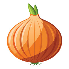 vector onion on white background