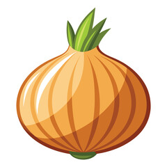 vector onion on white background