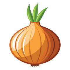 vector onion on white background