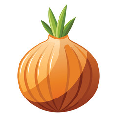 vector onion on white background
