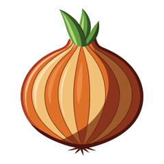 vector onion on white background