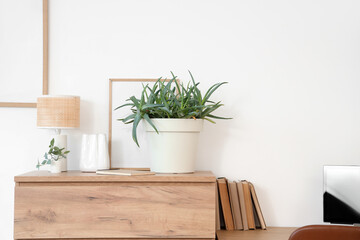 Chest of drawers with houseplant, lamp and notebook in light living room