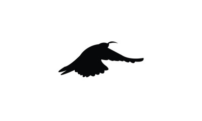 Flying Scimitarbill Bird Silhouette Design  And Vector Illustration. 