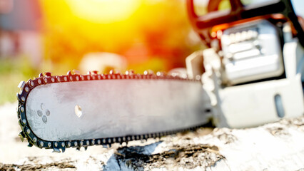 Chainsaw on birch wood in the sun's rays