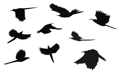 Obraz premium Flying Scimitarbill Bird Silhouette Design And Vector Illustration. 