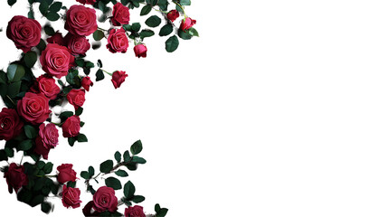 Red Roses Isolated on Dark Wooden Background