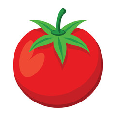 tomato on white background