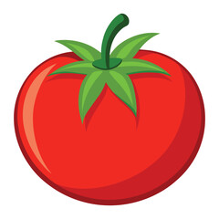 tomato on white background