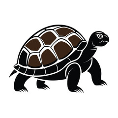 tortoise vector silhouette on white background