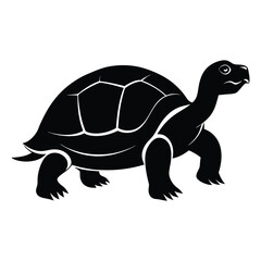 tortoise vector silhouette on white background