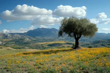 Selbstklebende Fototapeten Olive tree dominating blooming meadow in picturesque andalusian landscape © kardaska