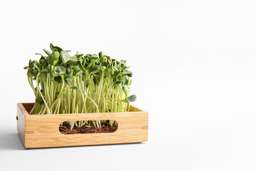 Wooden box with micro green on light background