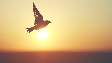 Fototapeta premium Silhouette of a bird in flight during a sunset.