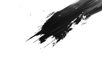 A black and white brush stroke on a white background