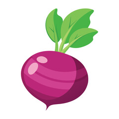 turnip on white background