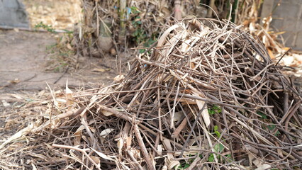 Pile of Dried Twigs and Branches on the Ground in Natural Setting
