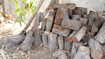 Pile of Stacked Firewood in Natural Setting Under Shade