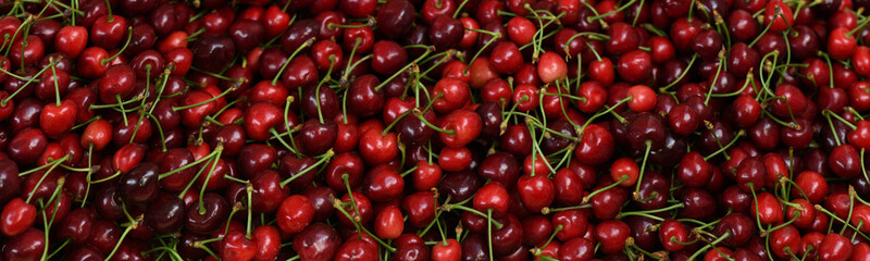 Many ripe sweet cherries as background, closeup. Studio banner,  red sweet cherries.