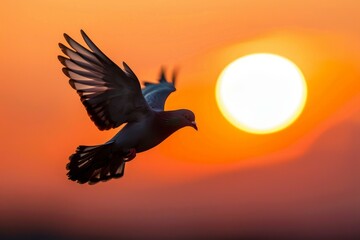 Pigeon soaring gracefully against a vibrant sunset backdrop, embodying freedom, peace, and hope