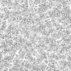 Fototapeta premium Seamless texture of Spong form (Spongiformia). Fashion graphic background design.