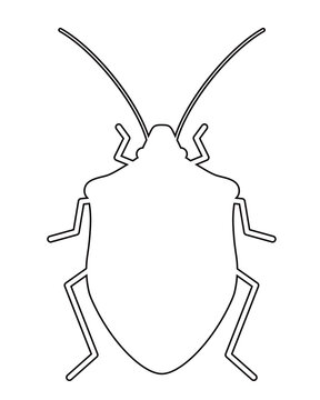 black outline insect bug clip art preview