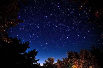 Cosmic black background with space-inspired elements like stars and galaxies, perfect for sci-fi or astronomy visuals