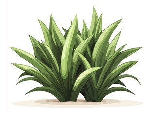 Obraz premium A cluster of lush green grass with pointed leaves, isolated on a white background.