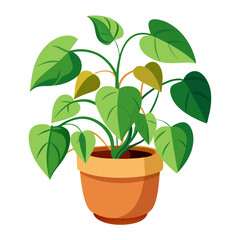 Bright green pothos vine thriving in a terracotta pot against a clean white backdrop for a fresh look in home decor