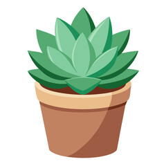 Succulent plant in a terracotta pot against a clean white background for decorative purposes
