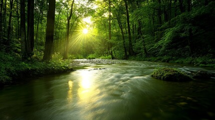 Fototapeta premium Serene Forest Glade with Sparkling Stream