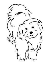 cute dog minimalist illustration line art