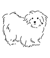 cute dog minimalist illustration line art