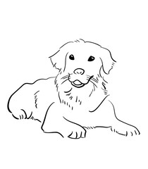cute dog minimalist illustration line art