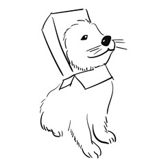 cute dog minimalist illustration line art