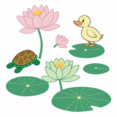 water lily and lotus