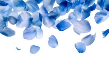 Blue Petals Falling Gently on White Background - Elegant Floral Design for Various Uses