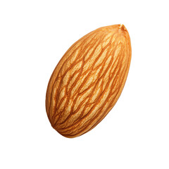 Almond isolated on white background clipping path